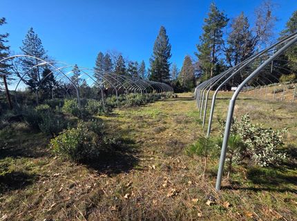 Canterbury, Pioneer, CA 95666 Photo