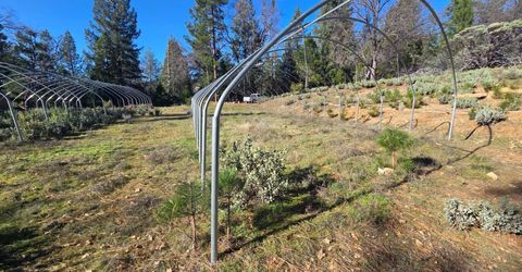 Canterbury, Pioneer, CA 95666 Photo