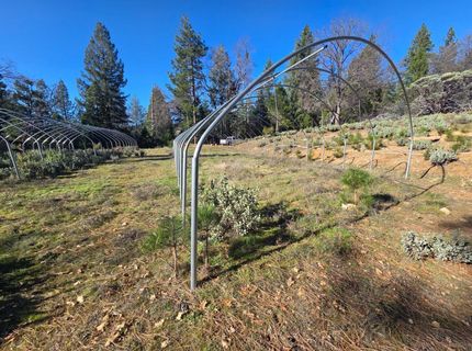 Canterbury, Pioneer, CA 95666 Photo