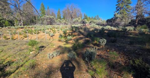 Canterbury, Pioneer, CA 95666 Photo