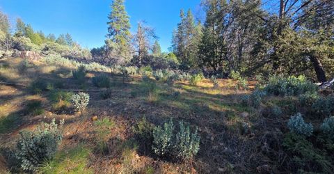 Canterbury, Pioneer, CA 95666 Photo