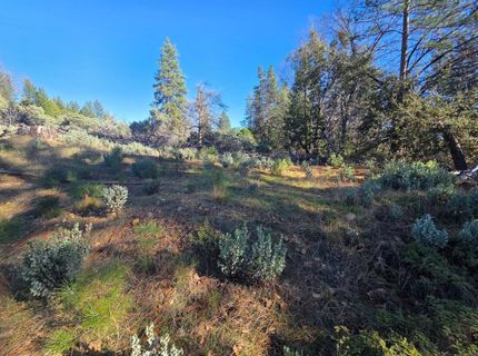 Canterbury, Pioneer, CA 95666 Photo