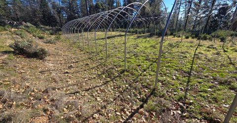 Canterbury, Pioneer, CA 95666 Photo