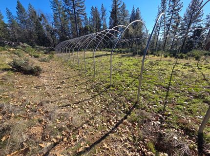 Canterbury, Pioneer, CA 95666 Photo