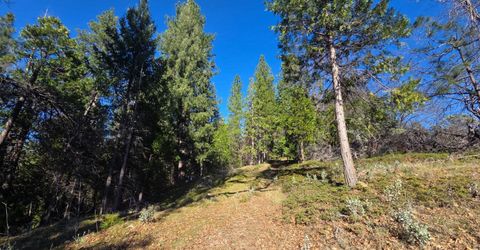 Canterbury, Pioneer, CA 95666 Photo