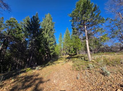 Canterbury, Pioneer, CA 95666 Photo