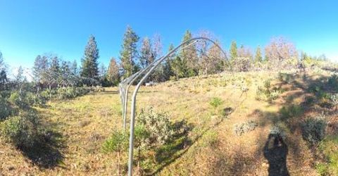 Canterbury, Pioneer, CA 95666 Photo