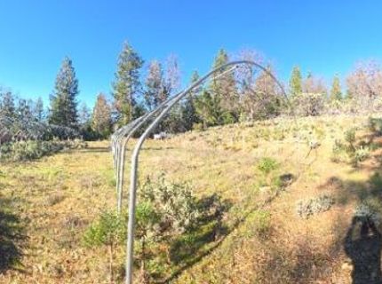 Canterbury, Pioneer, CA 95666 Photo