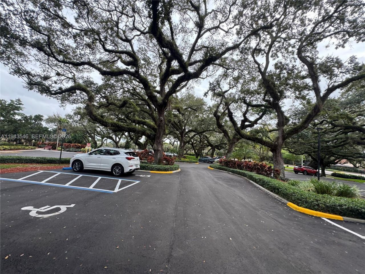 9450 Poinciana Pl, Unit 405, Davie, FL 33324 Photo