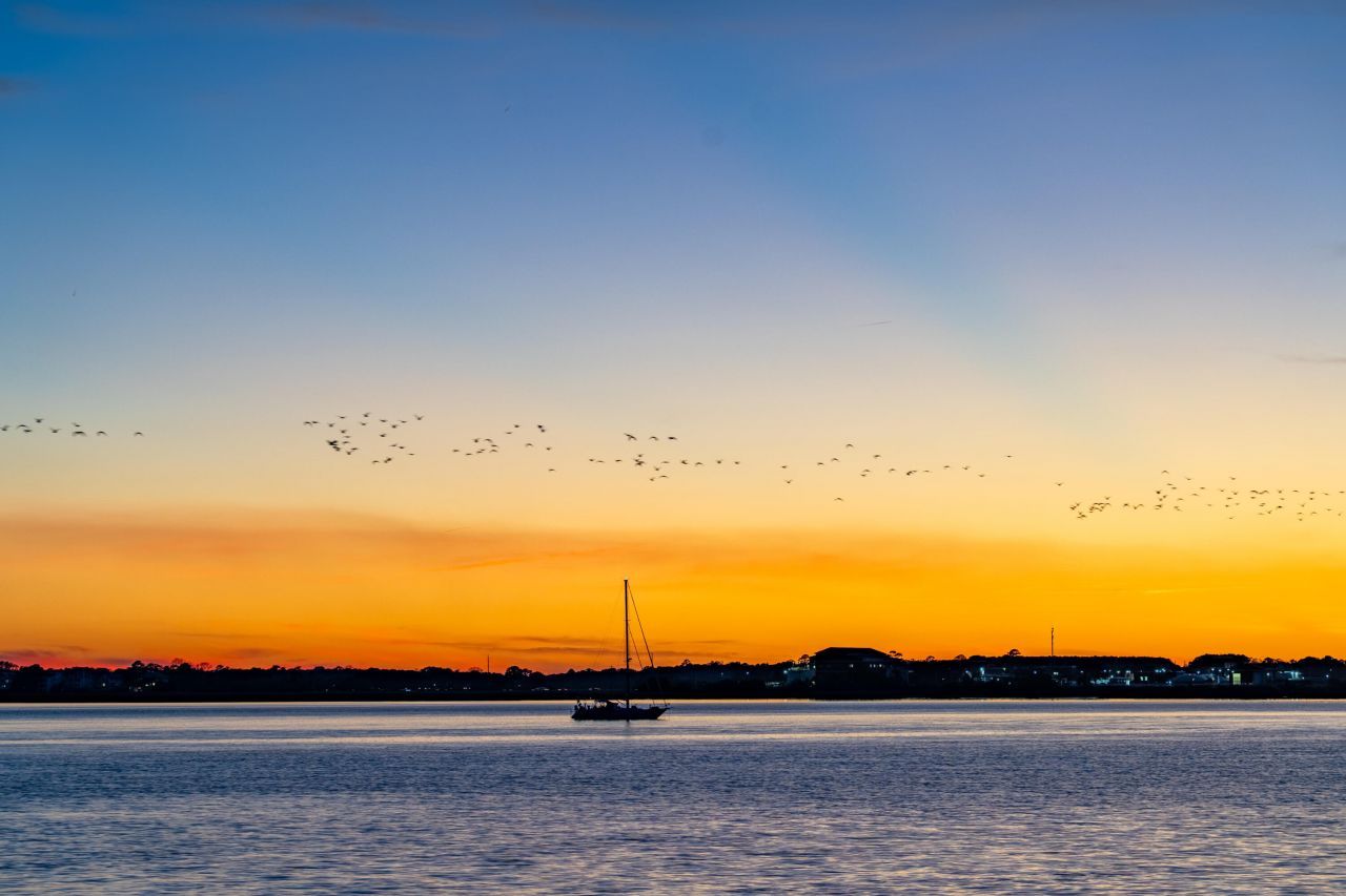 14 1/2 Murray Boulevard Photo 79