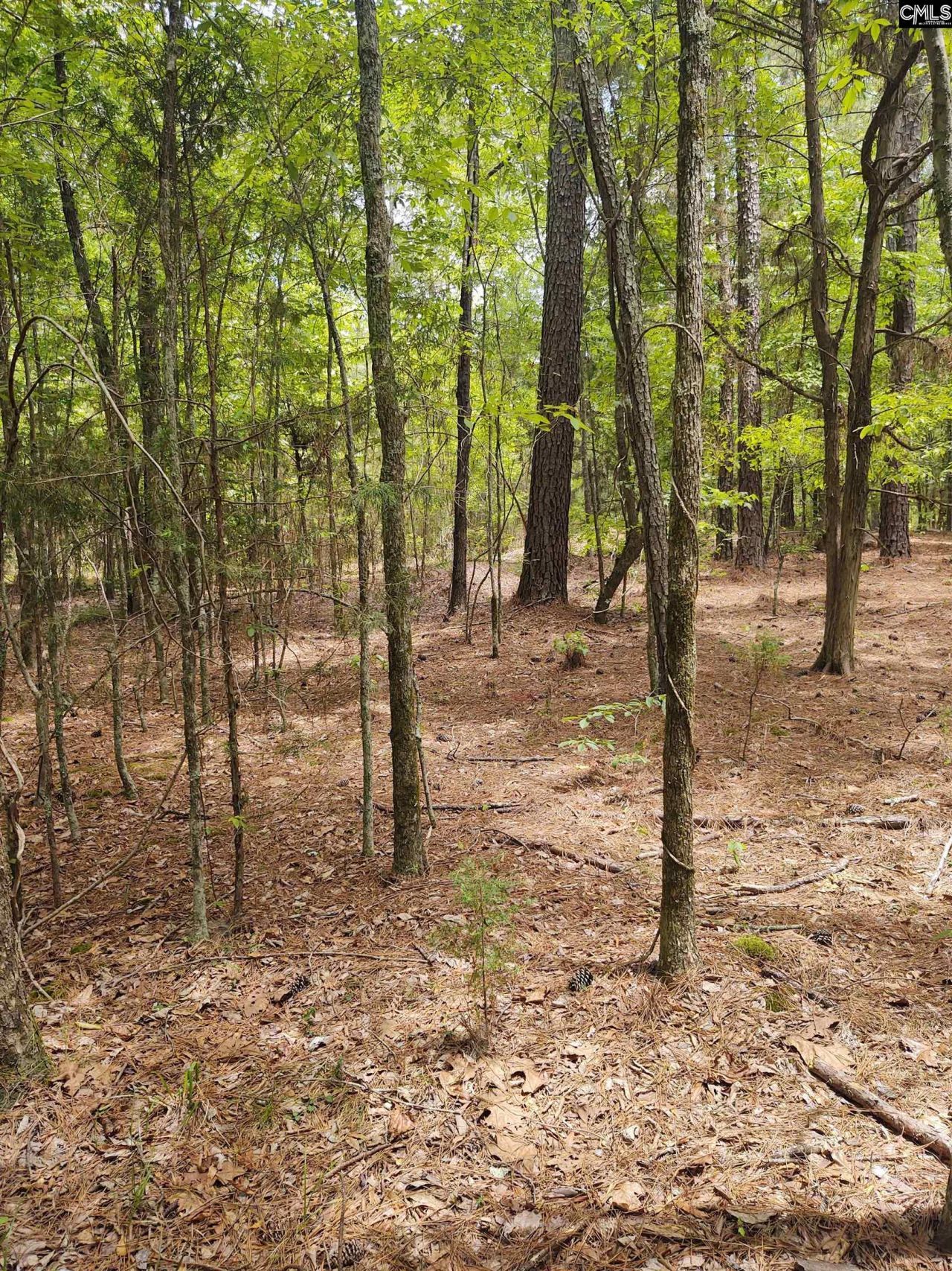 1109 Hopewell Church Road  Photo 10