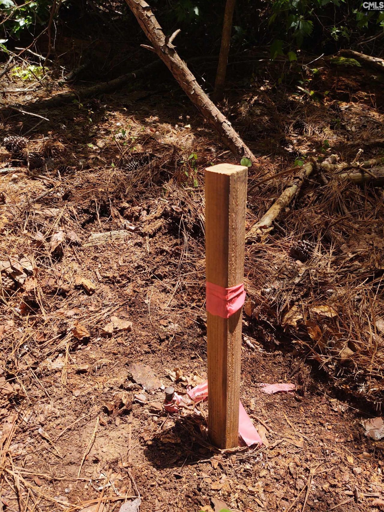 1109 Hopewell Church Road  Photo 11