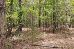 1109 Hopewell Church Road  photo 4