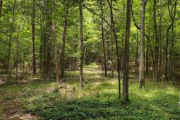 1109 Hopewell Church Road  photo 4