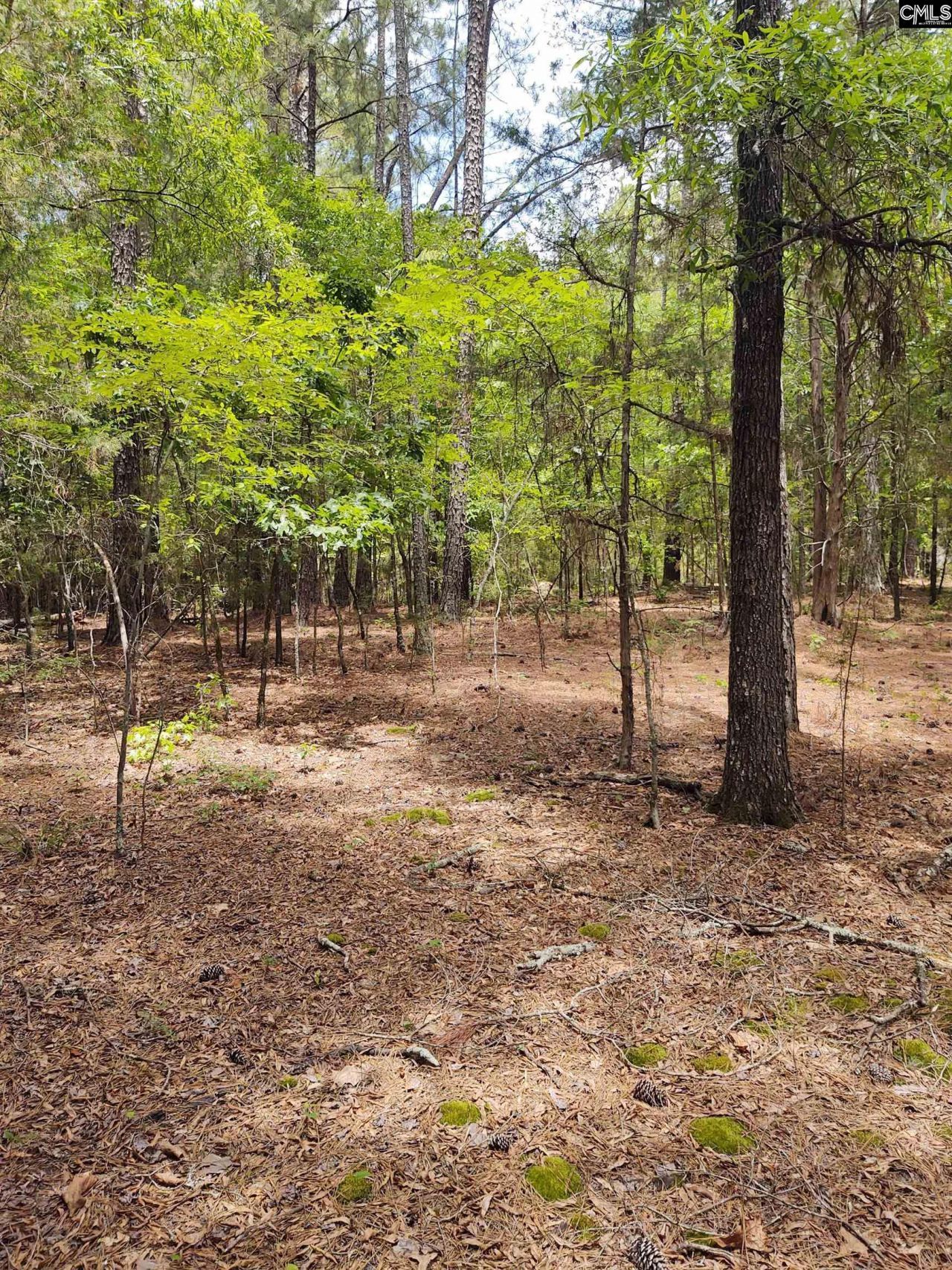 1109 Hopewell Church Road  Photo 4