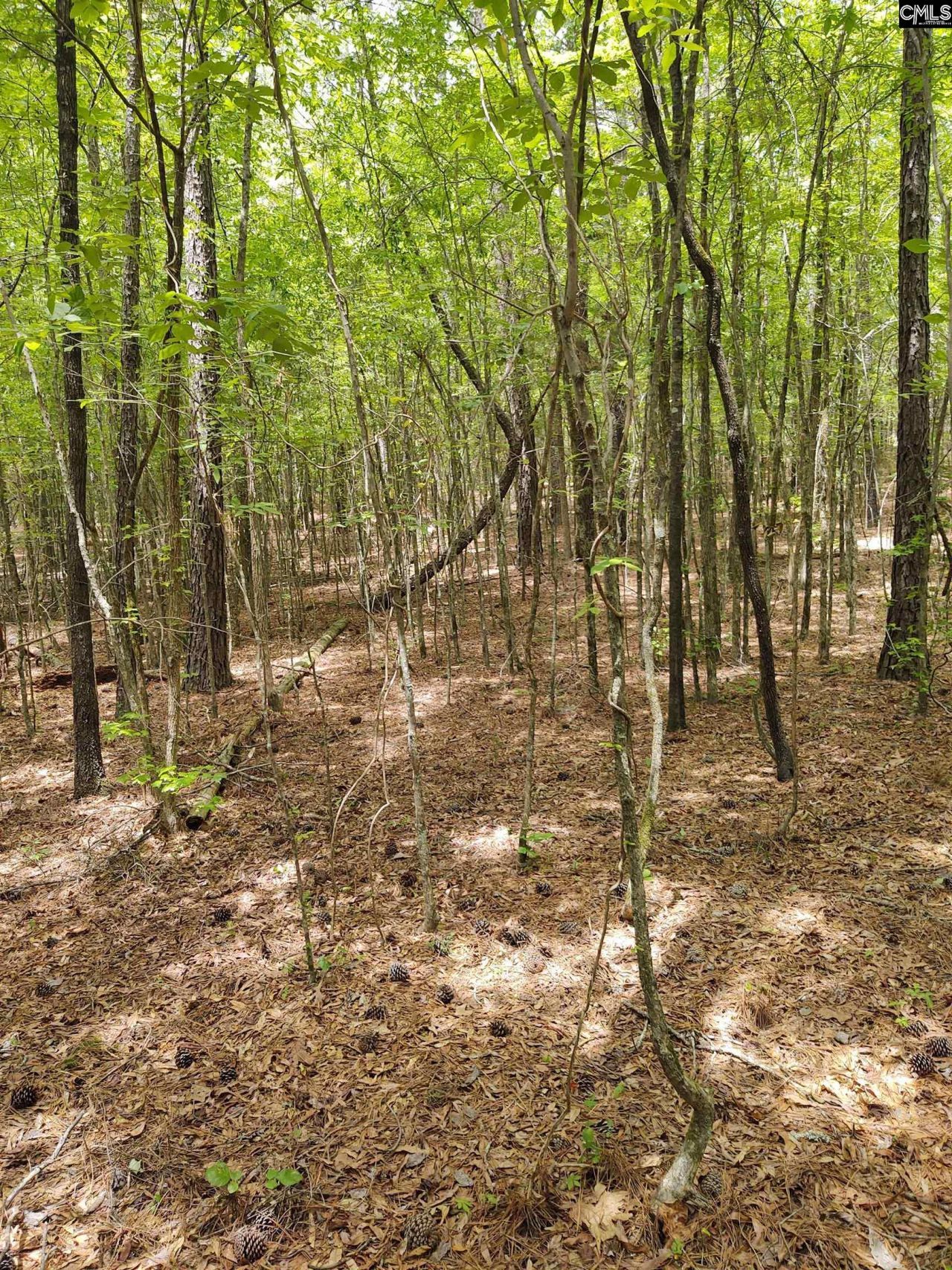 1109 Hopewell Church Road  Photo 5