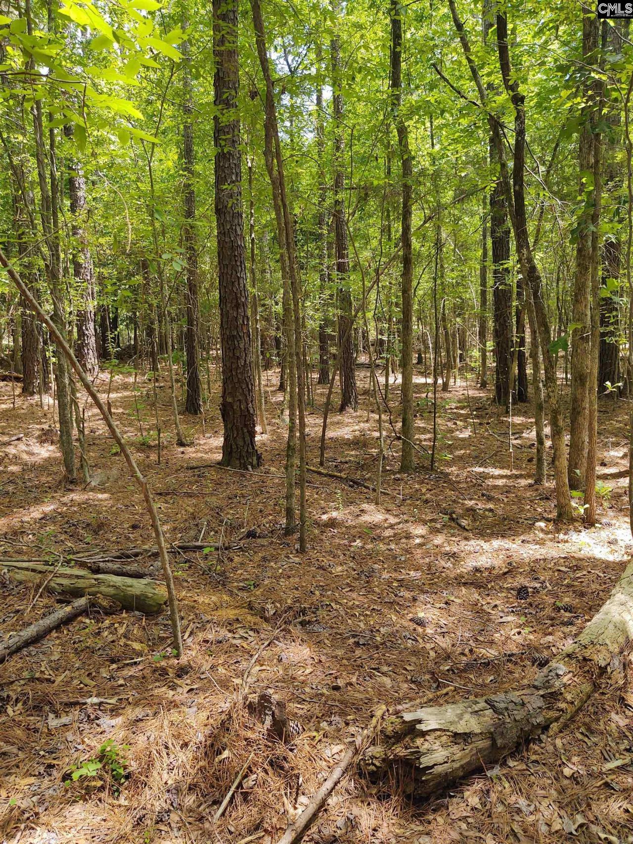 1109 Hopewell Church Road  Photo 6