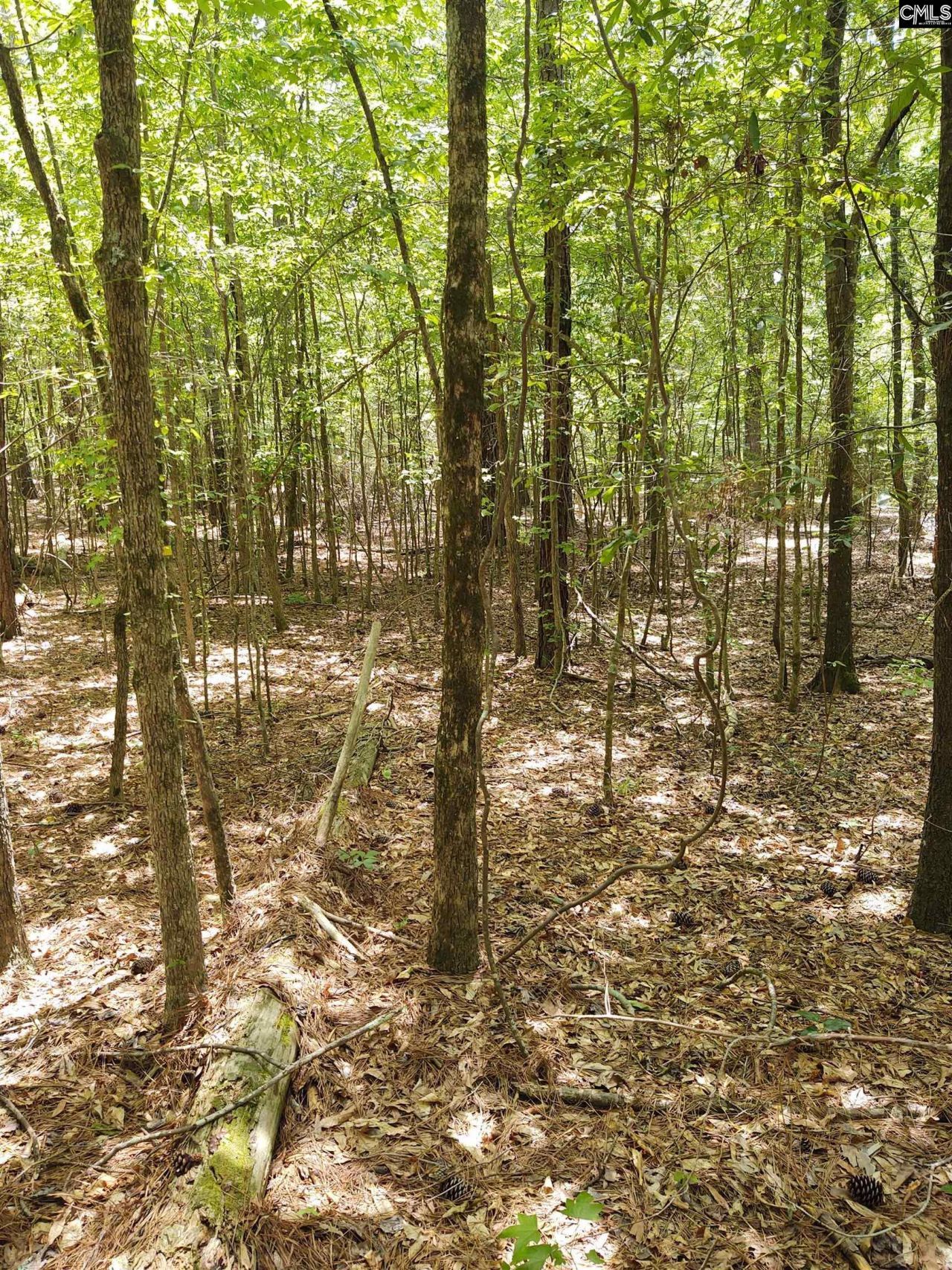 1109 Hopewell Church Road  Photo 7