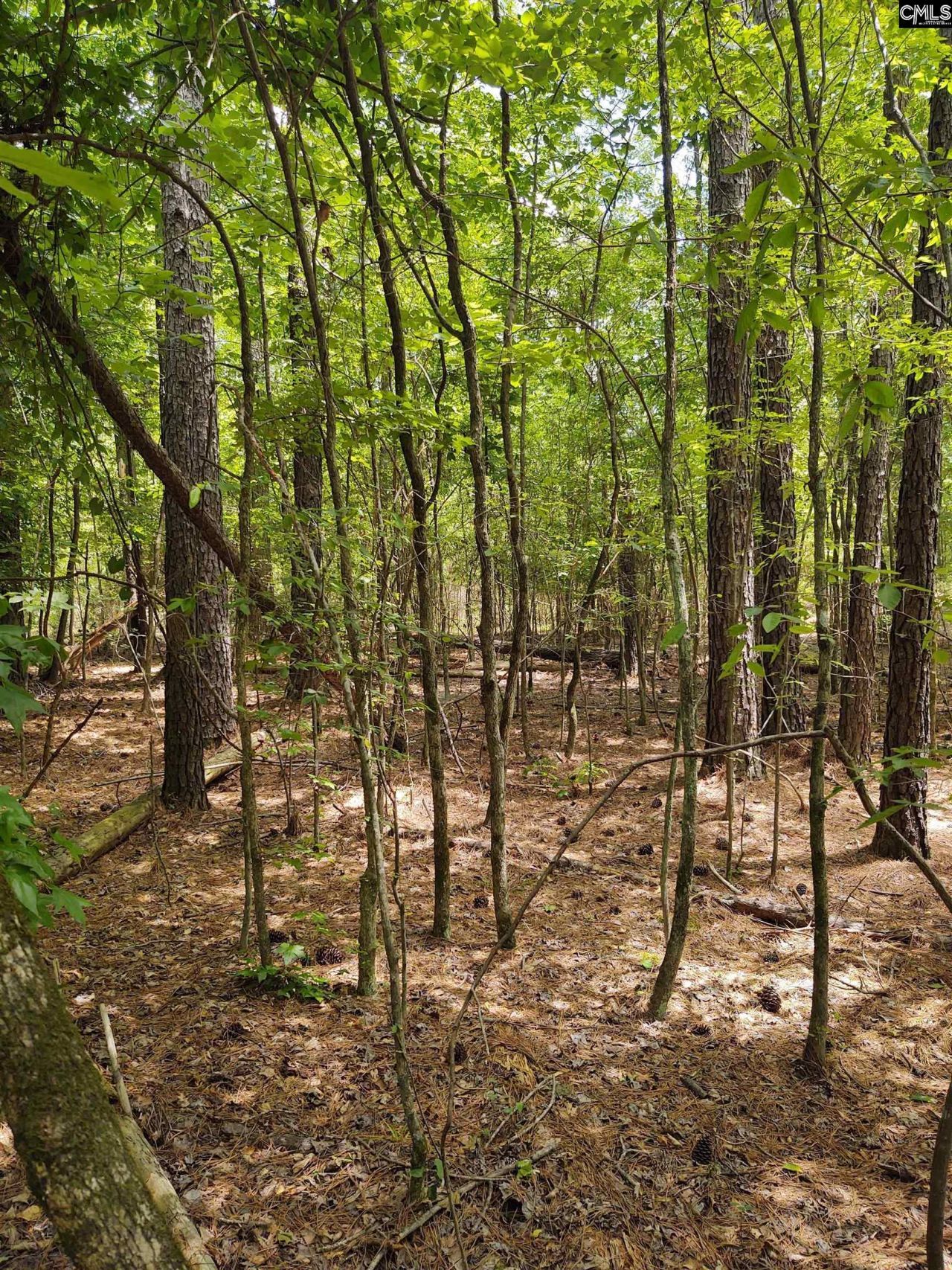 1109 Hopewell Church Road  Photo 8