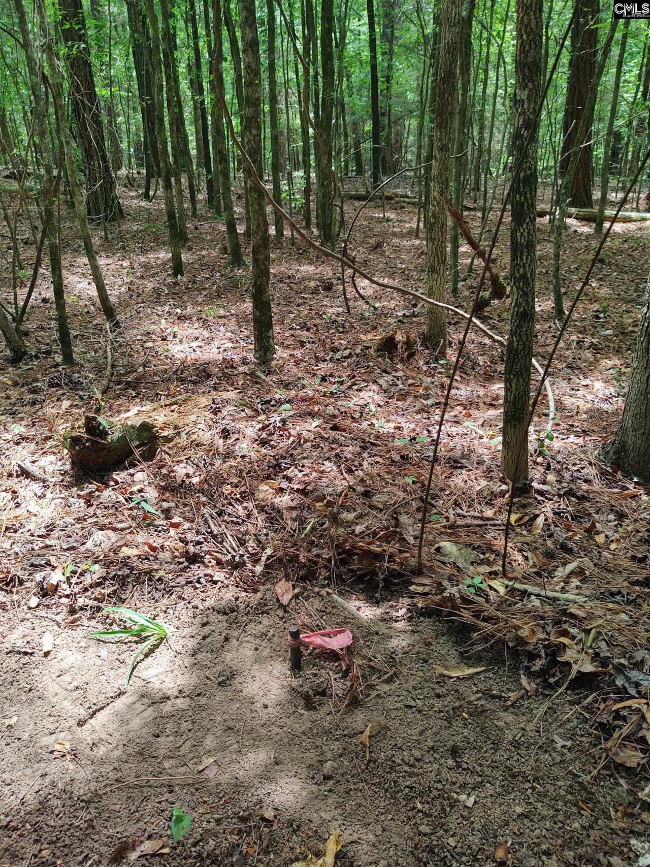 1109 Hopewell Church Road  Photo 9