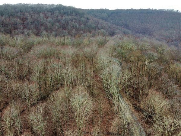 Russellville Rd, Quinwood, WV 25981