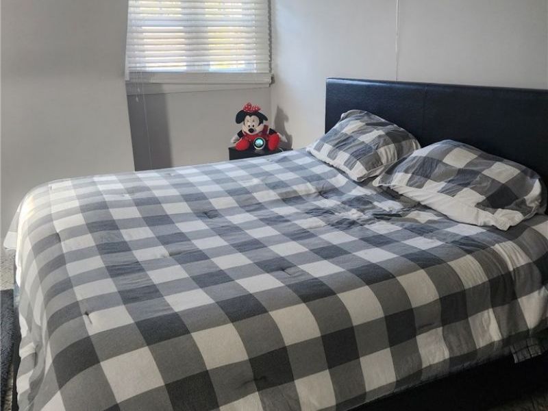 423 Bradley Lane, Youngstown, OH 44504 Photo 19