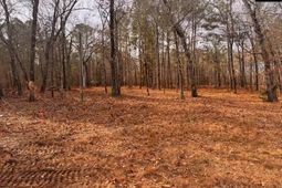 0 Myers Lane Myers Lane photo 4