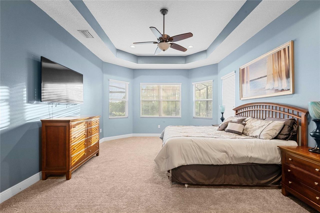 2611 Coco Palm Circle, Wesley Chapel, FL 33543 Photo