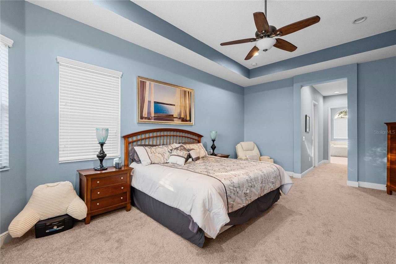 2611 Coco Palm Circle, Wesley Chapel, FL 33543 Photo