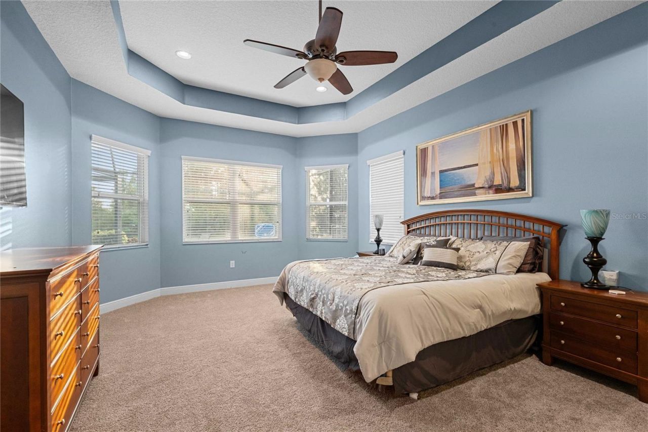 2611 Coco Palm Circle, Wesley Chapel, FL 33543 Photo