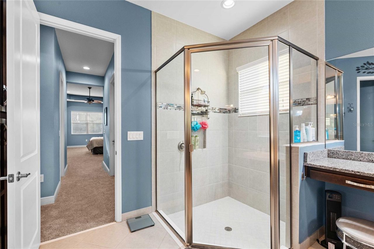 2611 Coco Palm Circle, Wesley Chapel, FL 33543 Photo