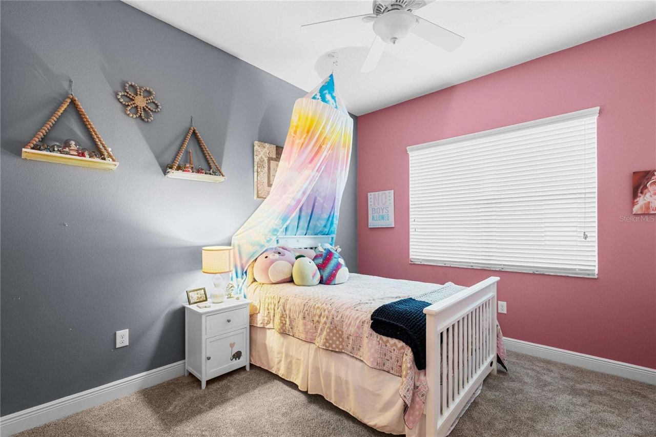 2611 Coco Palm Circle, Wesley Chapel, FL 33543 Photo