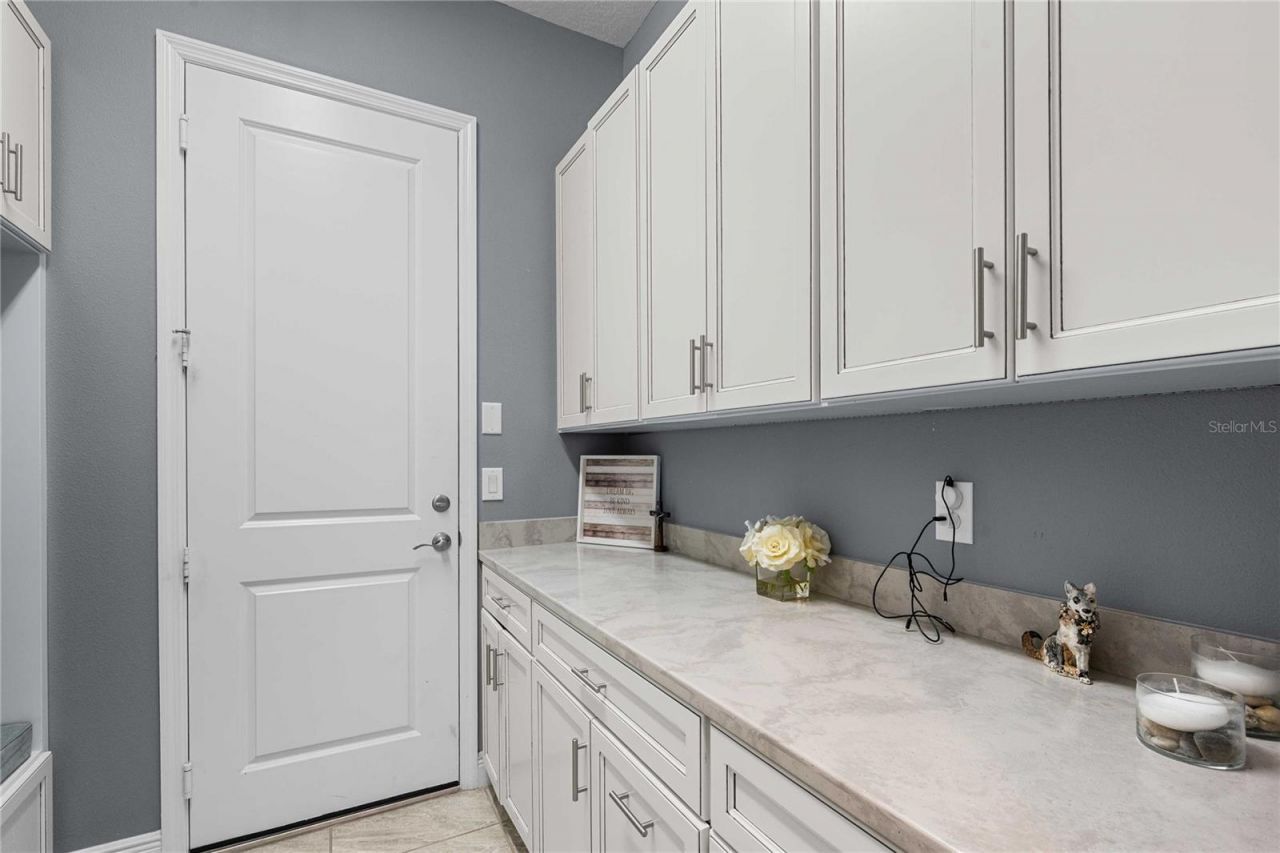 2611 Coco Palm Circle, Wesley Chapel, FL 33543 Photo