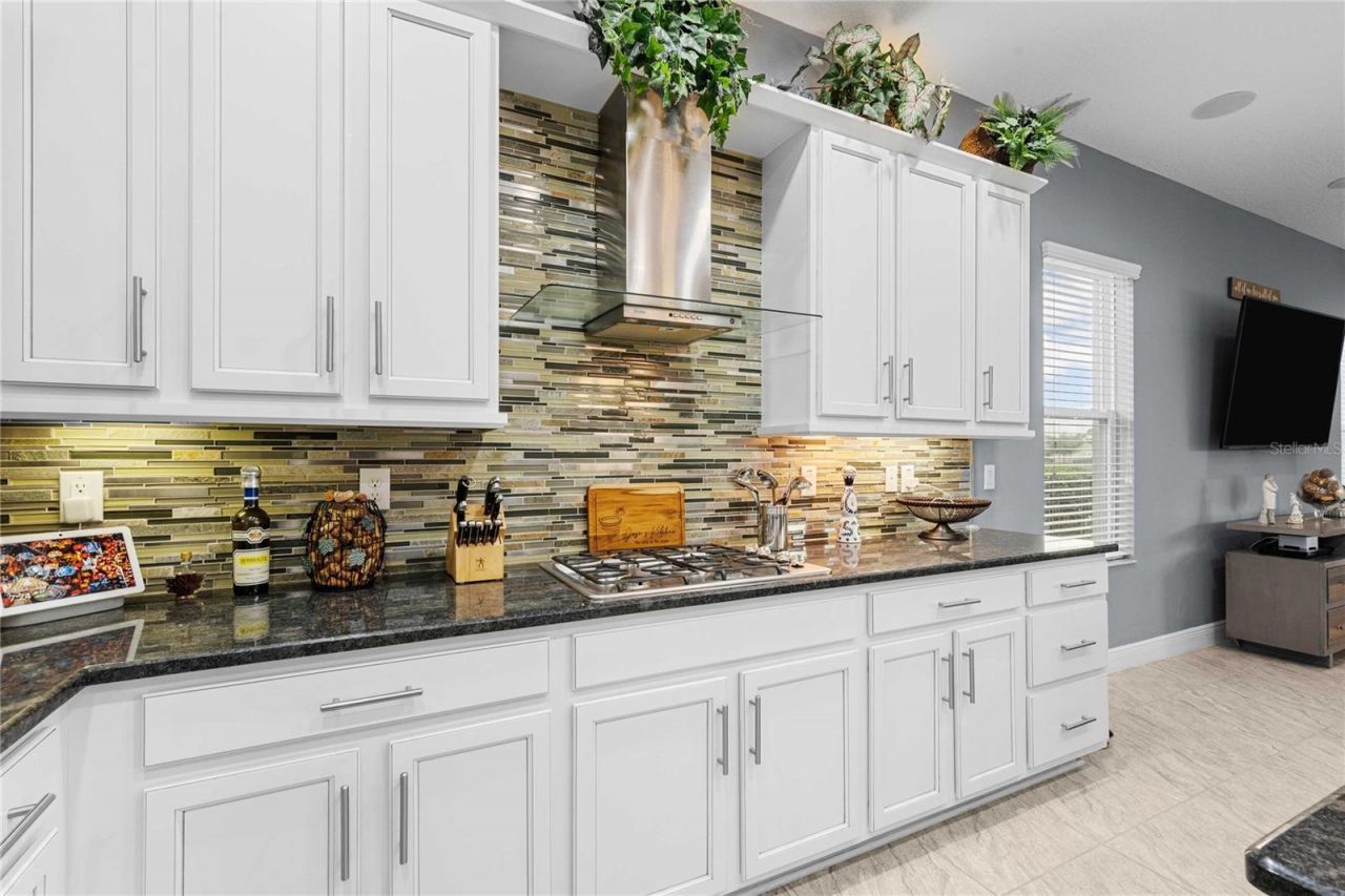 2611 Coco Palm Circle, Wesley Chapel, FL 33543 Photo