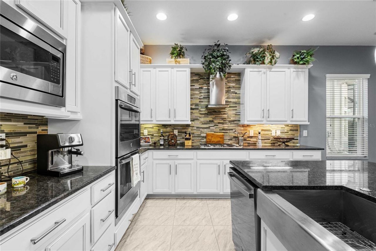 2611 Coco Palm Circle, Wesley Chapel, FL 33543 Photo