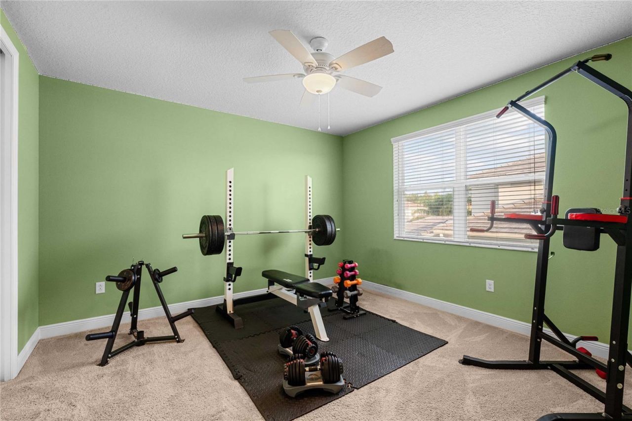 2611 Coco Palm Circle, Wesley Chapel, FL 33543 Photo