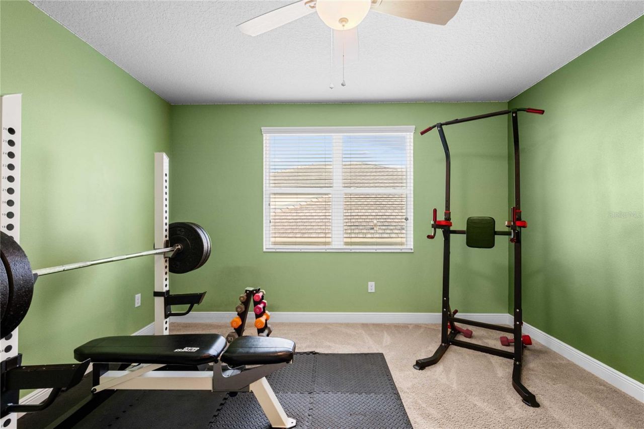 2611 Coco Palm Circle, Wesley Chapel, FL 33543 Photo