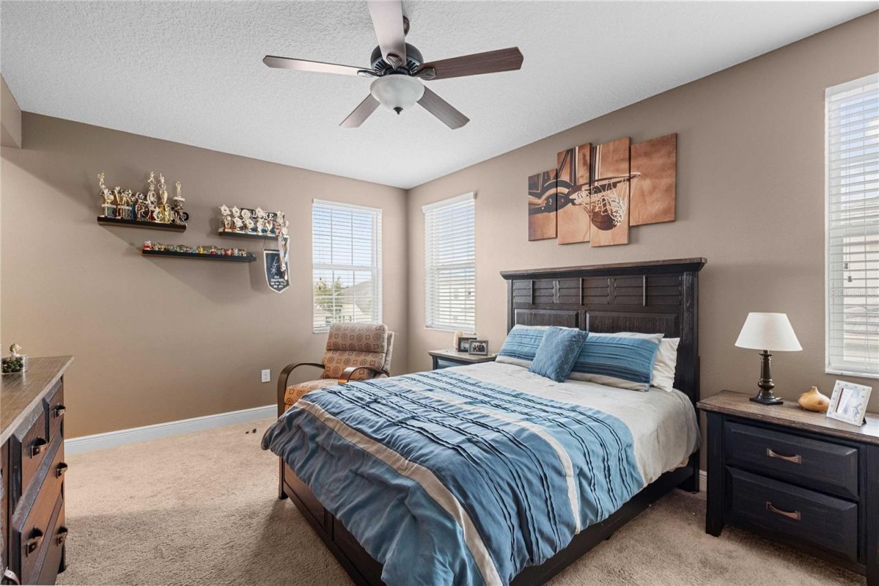 2611 Coco Palm Circle, Wesley Chapel, FL 33543 Photo