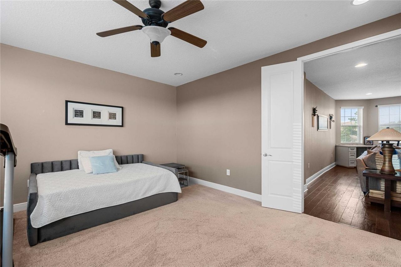 2611 Coco Palm Circle, Wesley Chapel, FL 33543 Photo