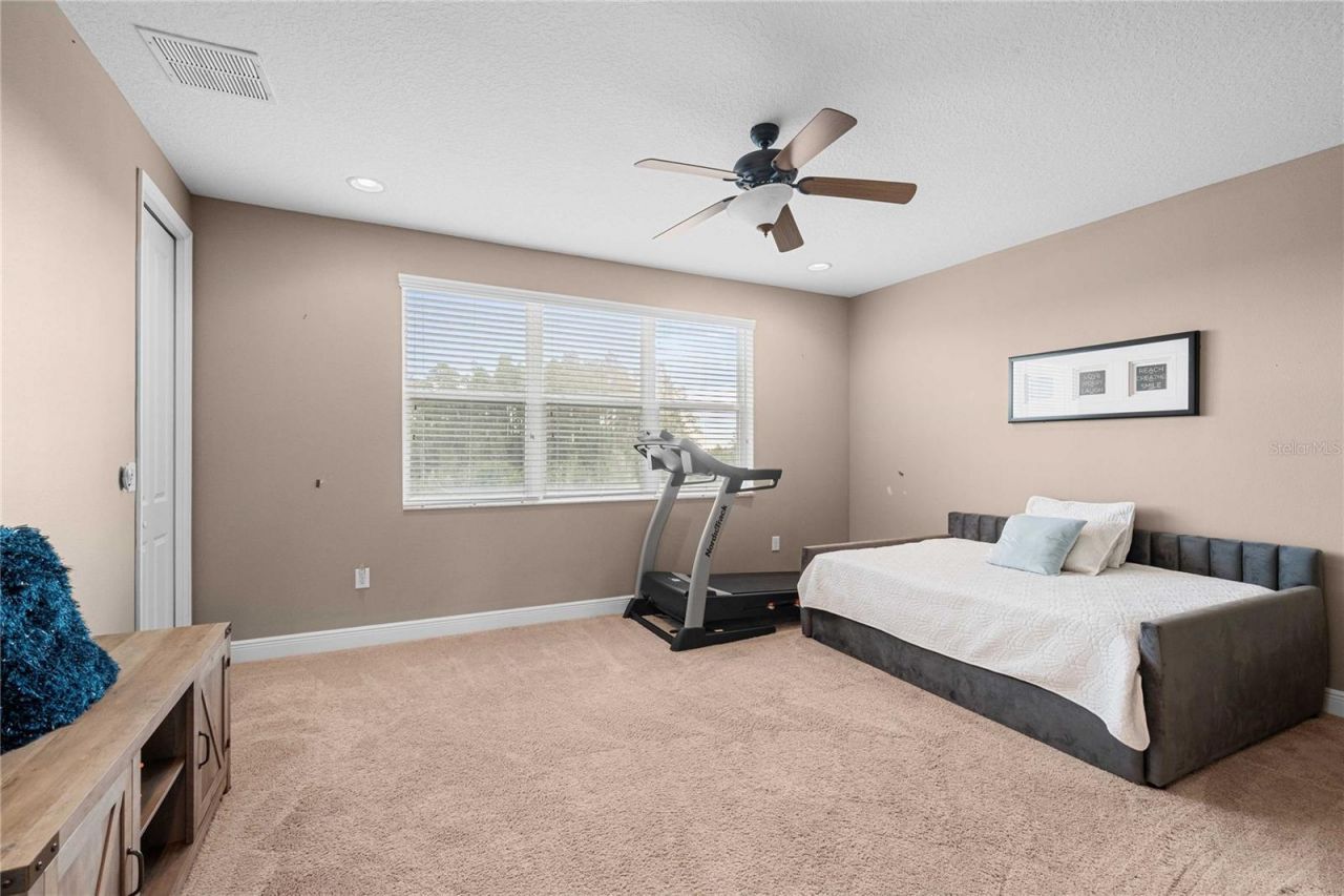 2611 Coco Palm Circle, Wesley Chapel, FL 33543 Photo