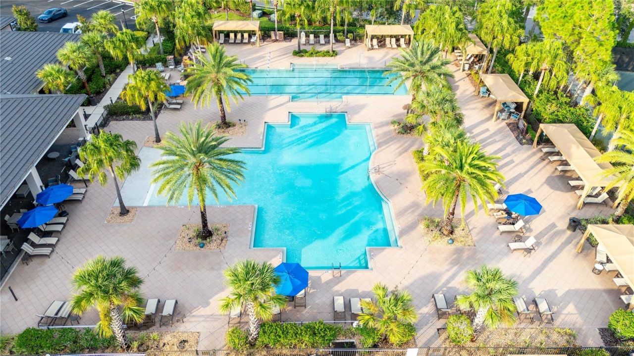 2611 Coco Palm Circle, Wesley Chapel, FL 33543 Photo