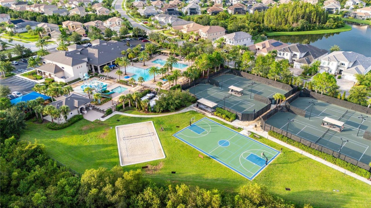 2611 Coco Palm Circle, Wesley Chapel, FL 33543 Photo