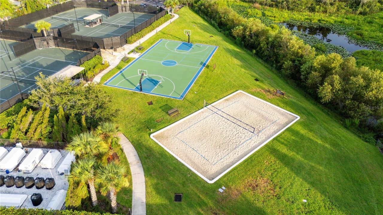 2611 Coco Palm Circle, Wesley Chapel, FL 33543 Photo