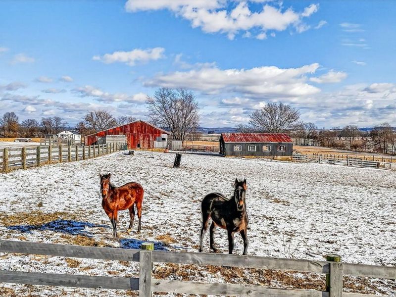 30320 Jackson Road, Kingston, OH 45644 Photo 47