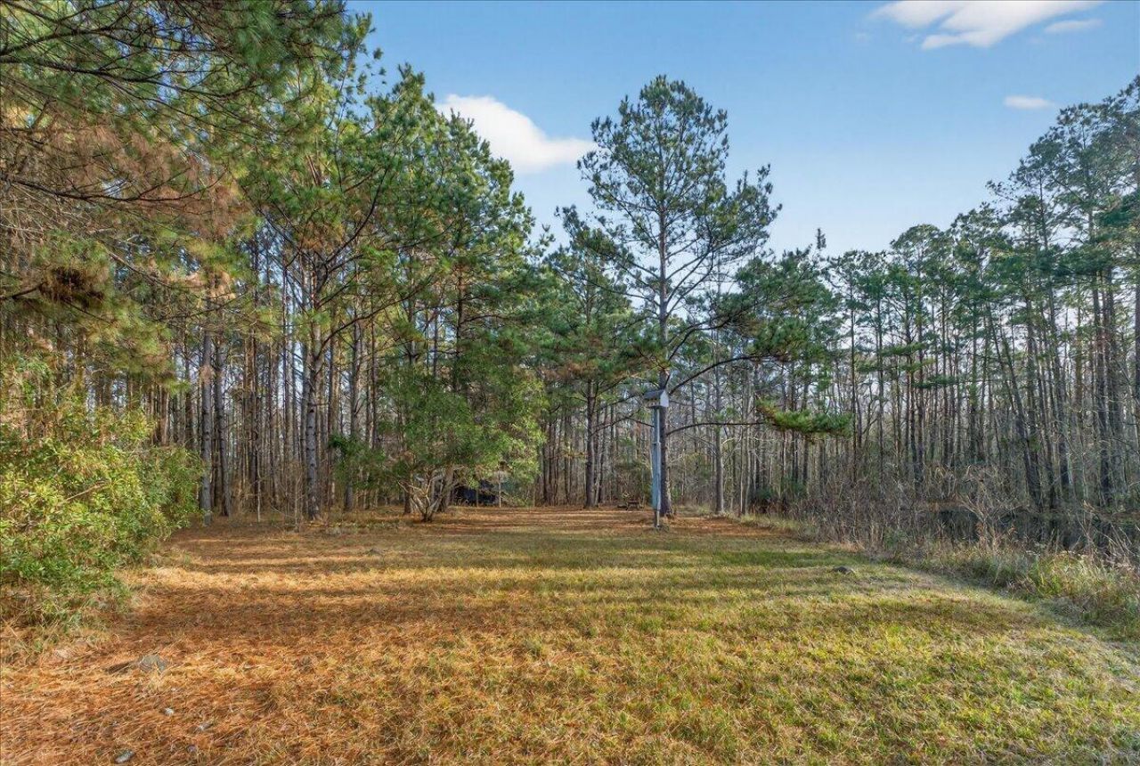 760 Coral Acres Drive Photo 26