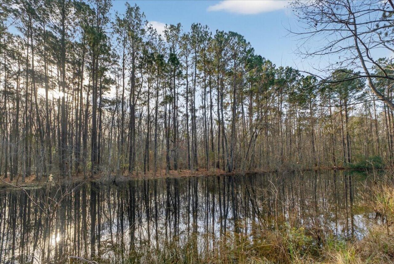 760 Coral Acres Drive Photo 28
