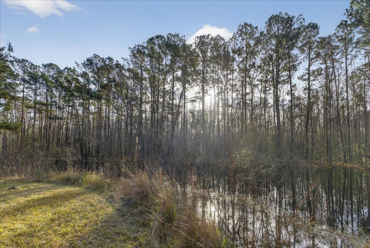 760 Coral Acres Drive Photo 29