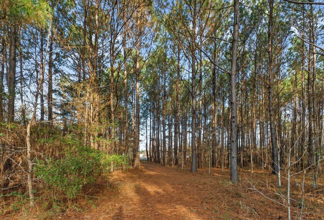 760 Coral Acres Drive Photo 33