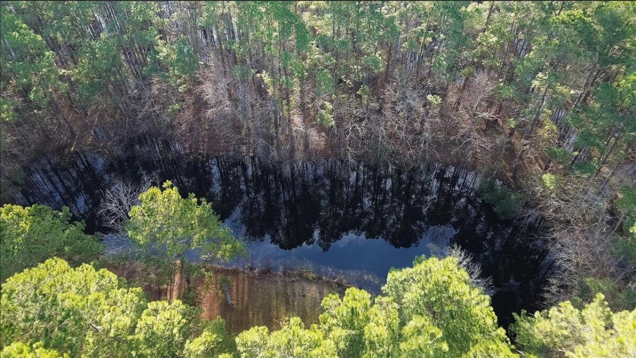 760 Coral Acres Drive Photo 40