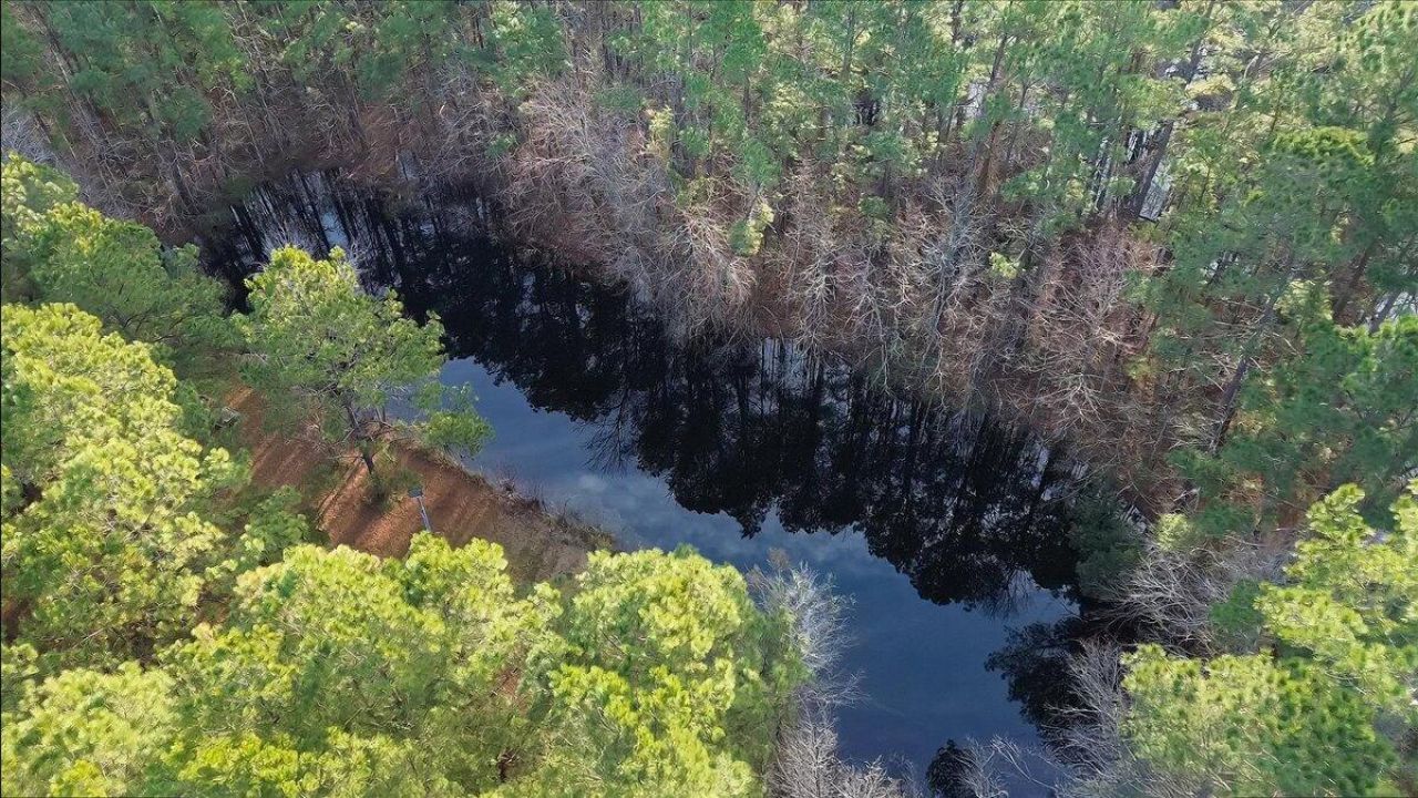 760 Coral Acres Drive Photo 46